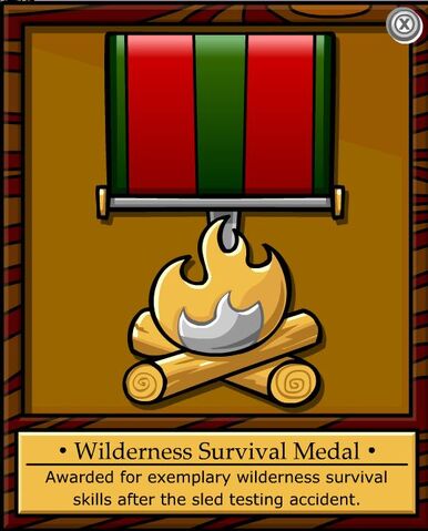 File:Wilderness Survival Medal.jpg