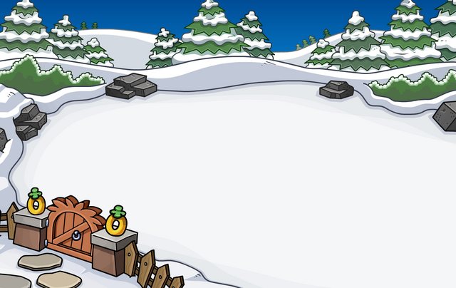 File:Igloo Backyard Location 1.png