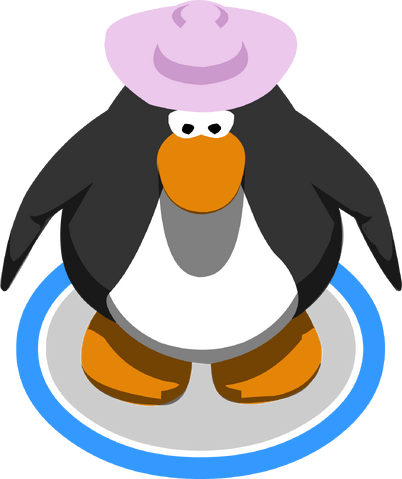 File:CowgirlHatIngame.png
