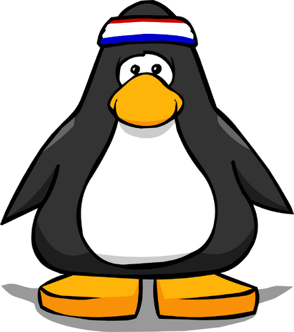 File:HeadbandPC.png
