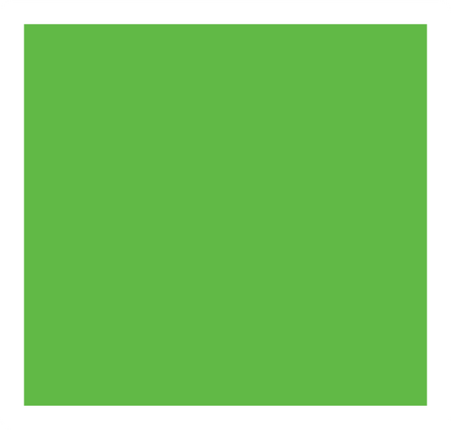 File:CJ green card.png