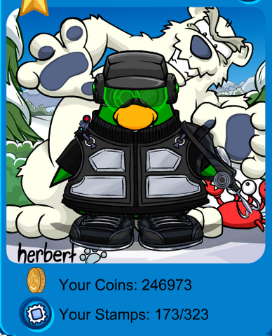 File:My Playercard in CP8.png
