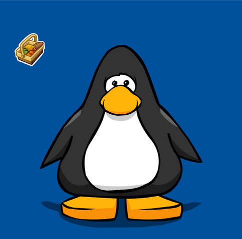 File:Clothing 7190 player card.png