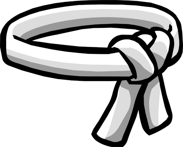 File:White Ninja Belt icon.png
