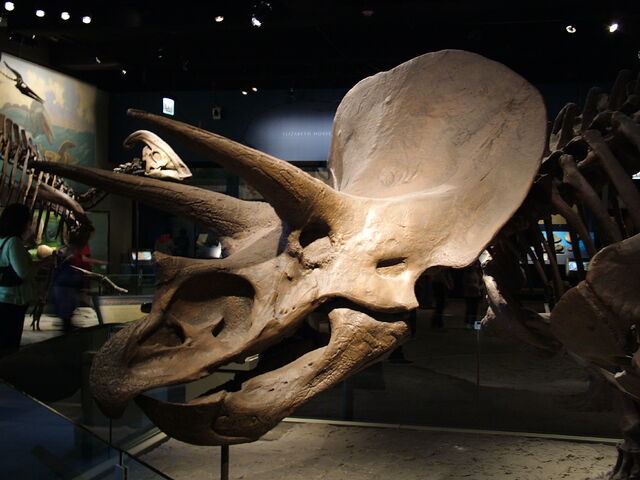 File:DSCF1734.jpg
