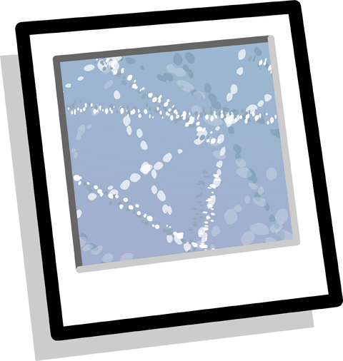 File:IceBGInventory.png