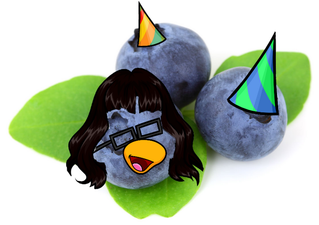 File:Blueberryiez.png