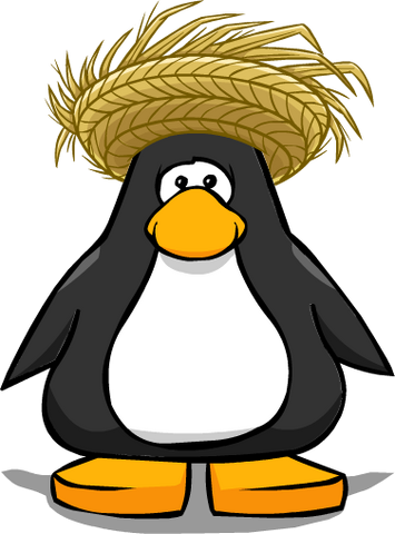 File:StrawSunHatPC.png