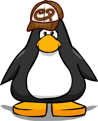 File:BrownSkaterHatPC.png