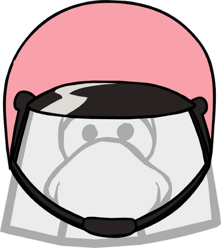 File:Lela's Bike Helmet.png