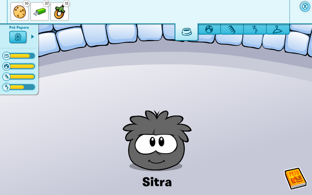 File:Black puffle care card.png