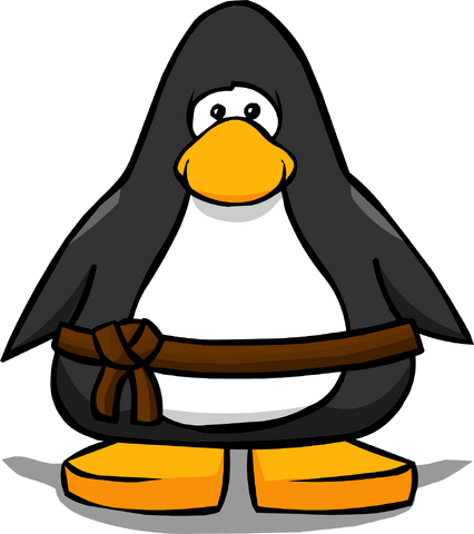 File:Brown Belt on a Player Card.png