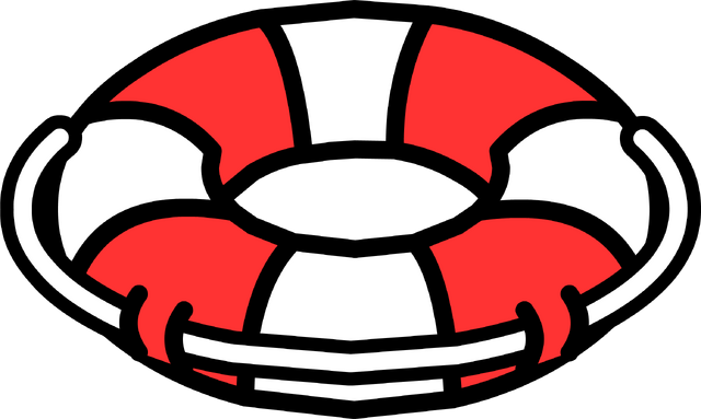 File:LifeRing.png
