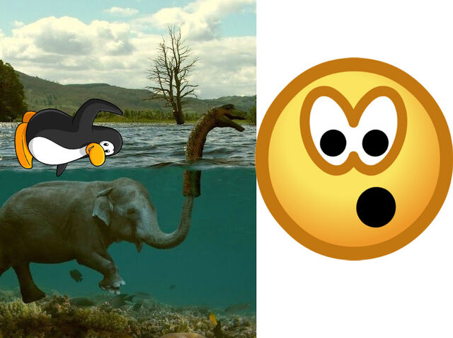 File:What The.jpg
