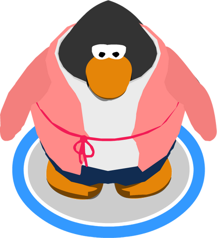 File:Clothing 4488 in game.png