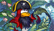 Rockhopper island bush