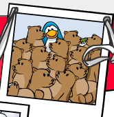 Teddyland!