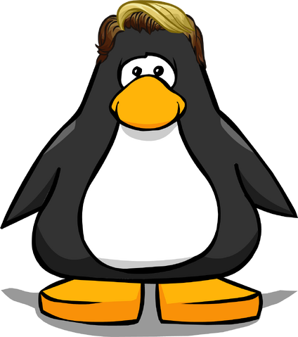 File:The Surf Star from a Player Card.png