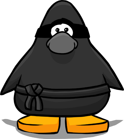 File:Ninja bg.png