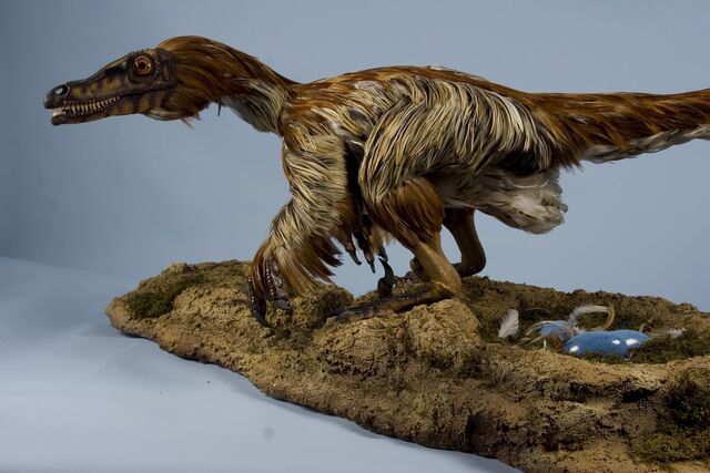 File:Velociraptor.jpg