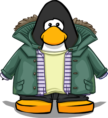 File:Green Parka on a Player Card.png