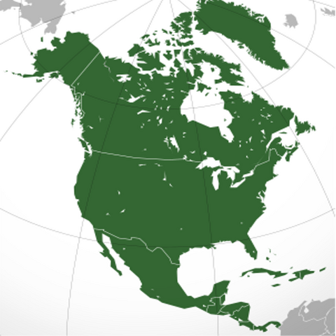 File:NAMap.png