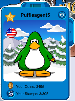 Plik:PlayerCardBraclet (1).png