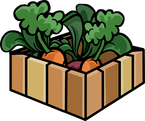 File:Box of Carrot Plants.png