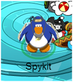 Thumbnail for version as of 17:04, May 29, 2013