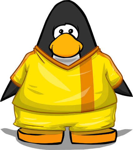 File:Clothing 24129 player card.png
