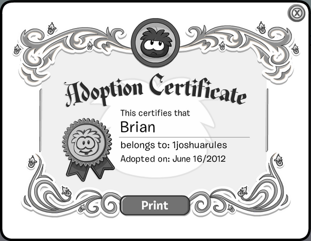 File:BrianCertificate.png