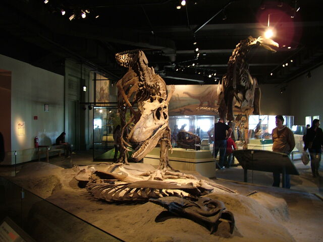 File:DSCF1729.jpg
