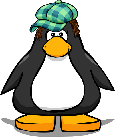 File:Thefunktasticplayercard.png