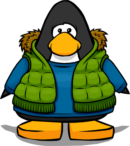 File:Green Vest from a Player Card.png