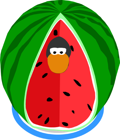 File:Watermelon Costume IG.png