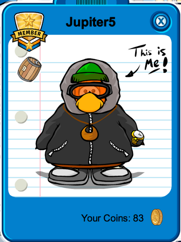 File:Regularoutfit.png