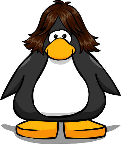 File:ThebrunettePC.png