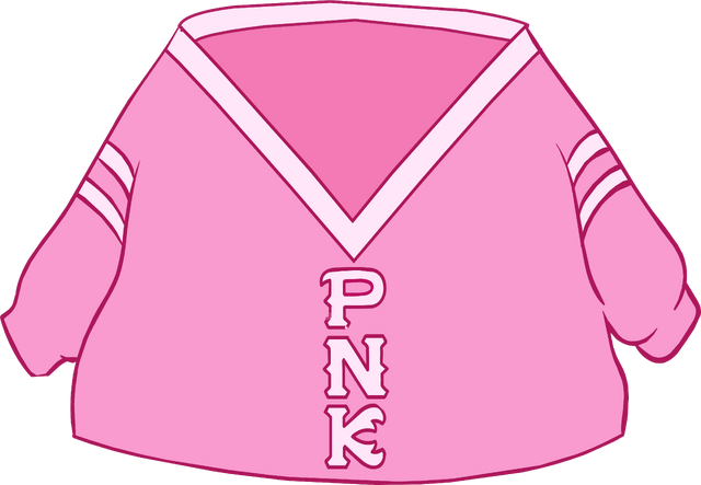 File:PNK Sweater clothing icon ID 4876.png