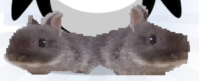 File:BUNNYslippers.png