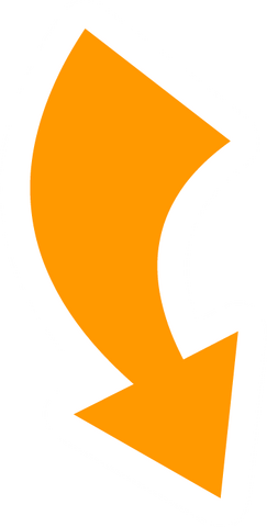 File:CJ reverse icon.png