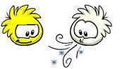 Lemonandicer