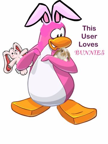 File:Pookiefanbunny.jpg