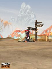 Image CPNINJA