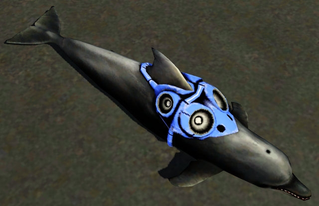 File:Dolphin.png
