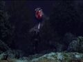Thumbnail for version as of 08:04, August 9, 2006