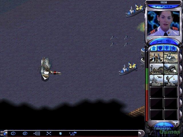 File:Squid.jpg