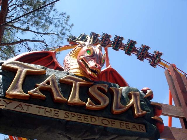 File:Tatsuflyatthespeedoffear.jpg