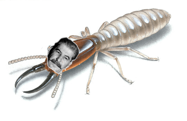 File:Termite Stalin.png