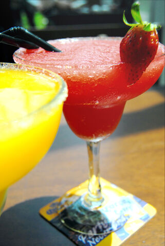 Datei:Pretty Margarita.jpg