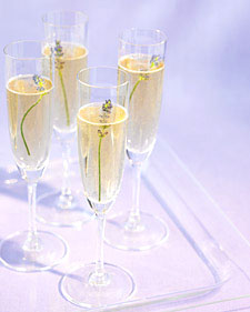 Mwd102281 spr07 champagne l